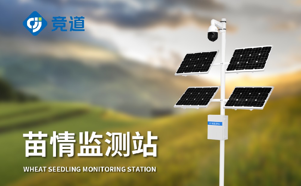 ÃçÇé¼à²âÕ¾