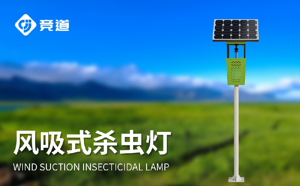 88858cc̫ܷʽɱƵĲƷصЩ